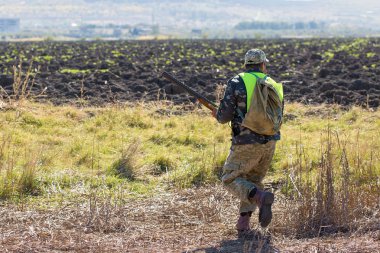Alman bir drathaar ve spanyel ile avcılar, yansıtıcı yelek giymiş köpeklerle güvercin avlıyorlar.