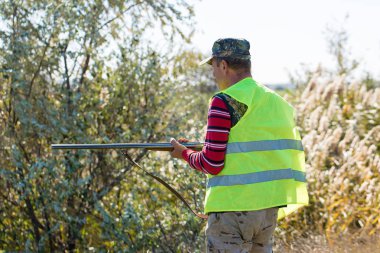 Alman bir drathaar ve spanyel ile avcılar, yansıtıcı yelek giymiş köpeklerle güvercin avlıyorlar.