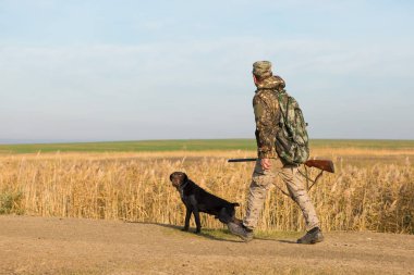Alman bir drathaar ve spanyel ile avcılar, yansıtıcı yelek giymiş köpeklerle güvercin avlıyorlar.