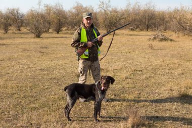 Alman bir drathaar ve spanyel ile avcılar, yansıtıcı yelek giymiş köpeklerle güvercin avlıyorlar.