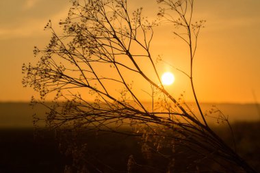 Gölün üzerinde güzel bir gün batımı