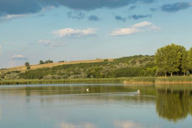 Nehir ve gölü olan güzel bir manzara.