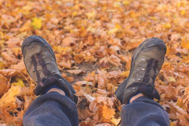 Kırmızı ve turuncu sonbahar arka plan bırakır, sıcak renkler altın sonbahar