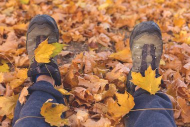 Kırmızı ve turuncu sonbahar arka plan bırakır, sıcak renkler altın sonbahar