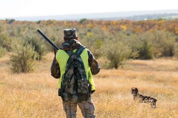 Jägare Med Tysk Drathaar Och Spaniel Duvjakt Med Hundar Reflekterande — Stockfoto