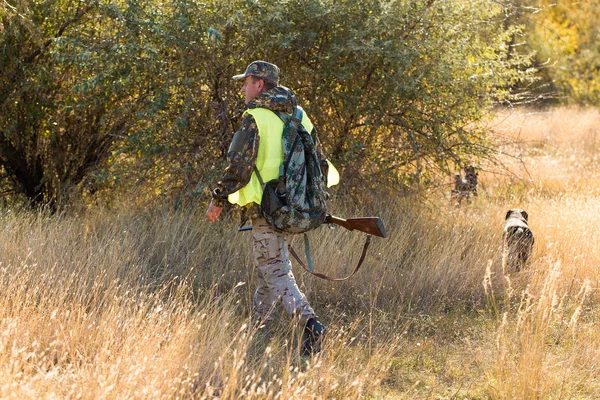 Cazadores Con Drathaar Alemán Spaniel Caza Palomas Con Perros Chalecos —  Fotos de Stock