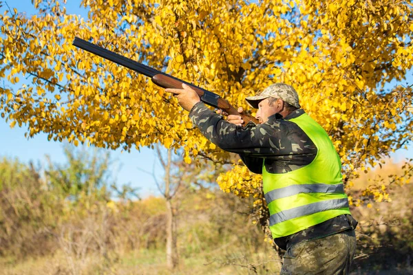 Hunters German Drathaar Spaniel Pigeon Hunting Dogs Reflective Vests — Stock Photo, Image