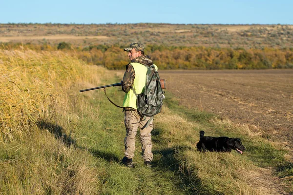 Chasseurs Avec Drathaar Allemand Épagneul Chasse Pigeon Avec Des Chiens — Photo