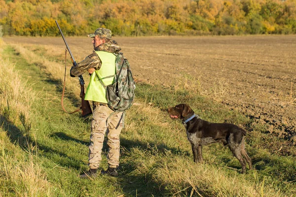 Alman Bir Drathaar Spanyel Ile Avcılar Yansıtıcı Yelek Giymiş Köpeklerle — Stok fotoğraf