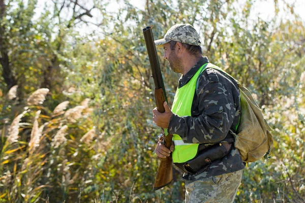 Hunters German Drathaar Spaniel Pigeon Hunting Dogs Reflective Vests — Stock Photo, Image