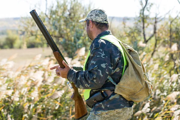 Jägare Med Tysk Drathaar Och Spaniel Duvjakt Med Hundar Reflekterande — Stockfoto