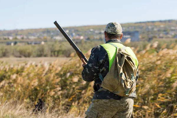 Jägare Med Tysk Drathaar Och Spaniel Duvjakt Med Hundar Reflekterande — Stockfoto