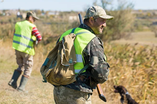 Jägare Med Tysk Drathaar Och Spaniel Duvjakt Med Hundar Reflekterande — Stockfoto