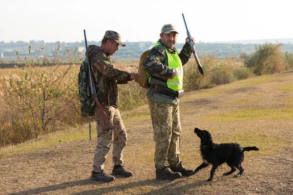 Alman Bir Drathaar Spanyel Ile Avcılar Yansıtıcı Yelek Giymiş Köpeklerle — Stok fotoğraf
