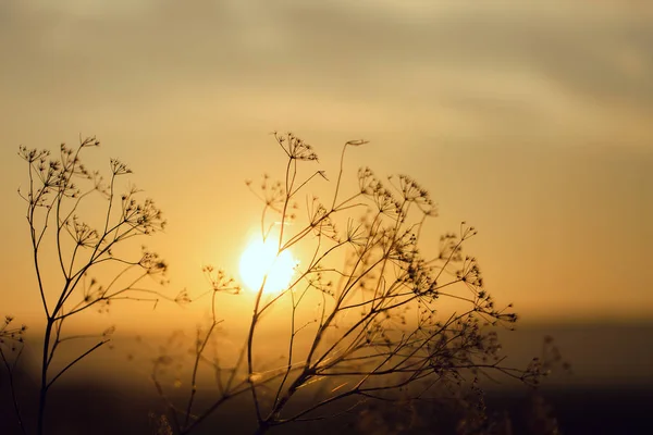 山の中の美しい夕日 — ストック写真