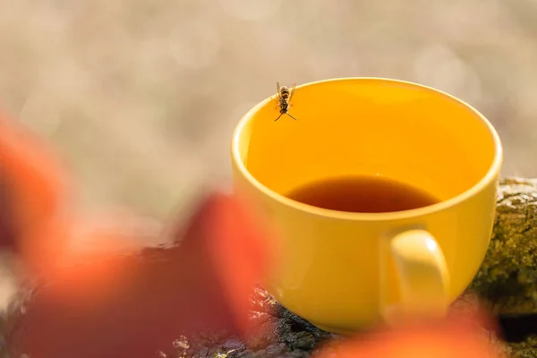Yellow mug on autumn background