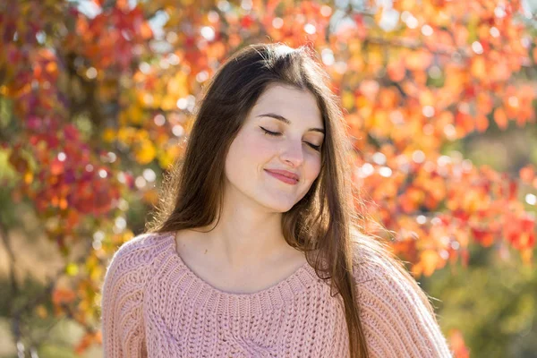 Retrato Mulher Muito Jovem Camisola Malha Elegante Floresta Dourada Outono — Fotografia de Stock