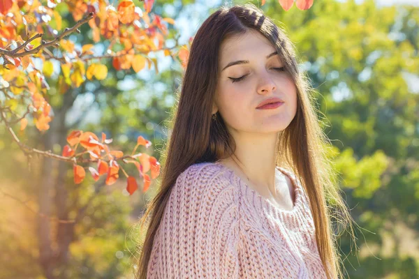 Retrato Mulher Muito Jovem Camisola Malha Elegante Floresta Dourada Outono — Fotografia de Stock