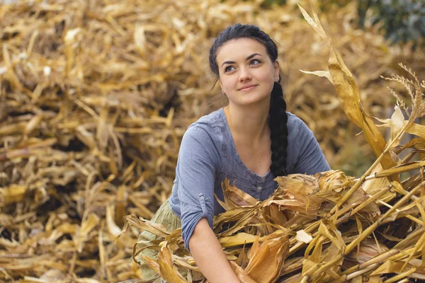Vintage Portréja Egy Szexi Lány Kukorica Vidéki Betakarítás Koncepció — Stock Fotó