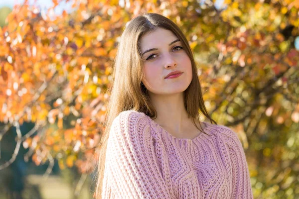 Retrato Mulher Muito Jovem Camisola Malha Elegante Floresta Dourada Outono — Fotografia de Stock