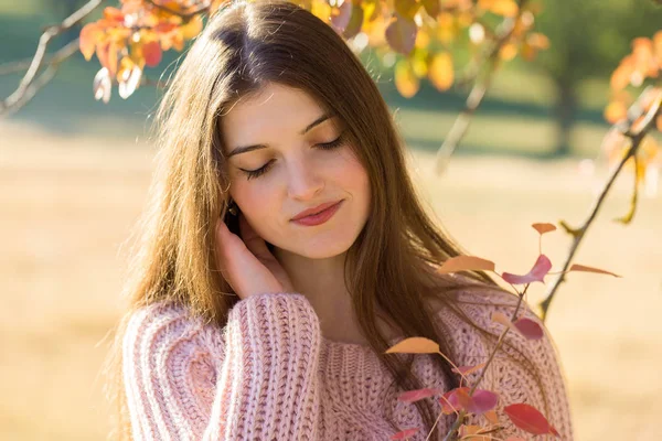 Retrato Mulher Muito Jovem Camisola Malha Elegante Floresta Dourada Outono — Fotografia de Stock