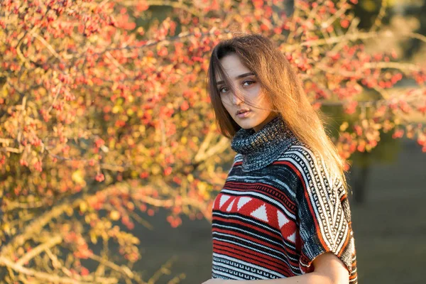 Портрет Красивой Молодой Женщины Осеннем Парке — стоковое фото