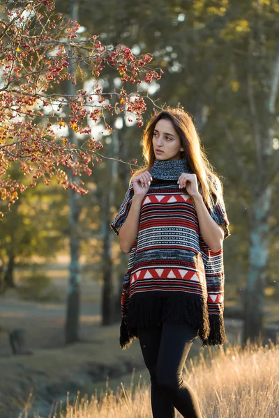 Herbstporträt Eines Mädchens Ethnischen Pullover — Stockfoto