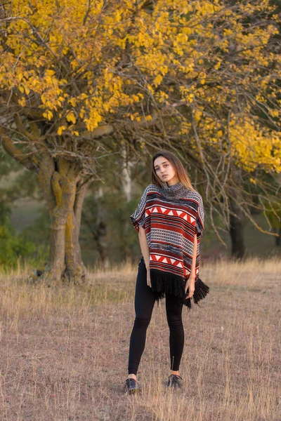 Retrato Outono Uma Menina Suéter Étnico — Fotografia de Stock