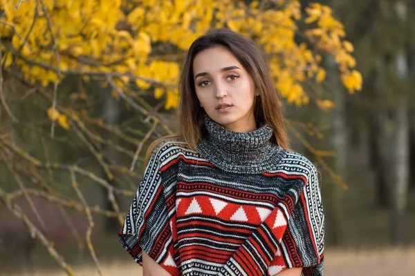 Retrato Outono Uma Menina Suéter Étnico — Fotografia de Stock