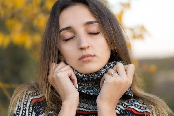 Retrato Outono Uma Menina Suéter Étnico — Fotografia de Stock