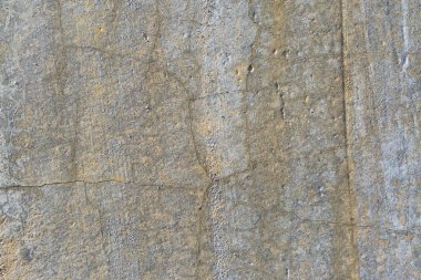 Asbest kayrak doku beton liken ve yosun kaplı