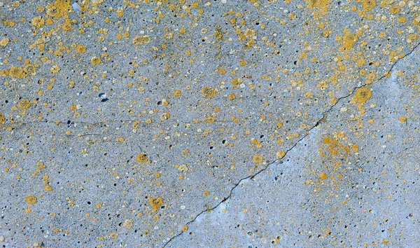 Asbest Leisteen Textuur Beton Bedekt Met Korstmos Mos — Stockfoto