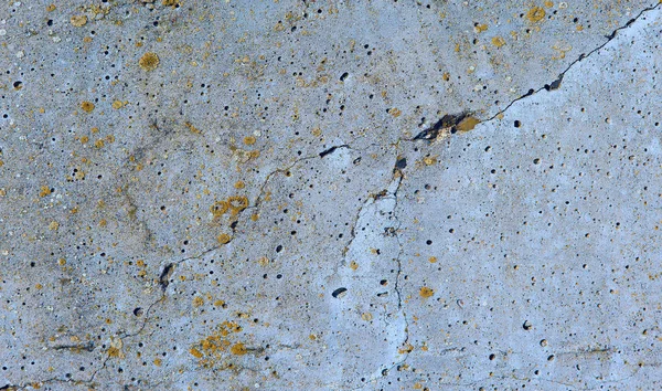 Texture Ardoise Amiante Béton Recouvert Lichen Mousse — Photo