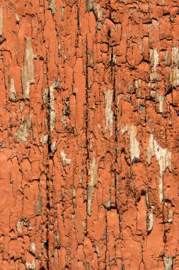 Antika ahşap doku, arka plan eski rustik panoları