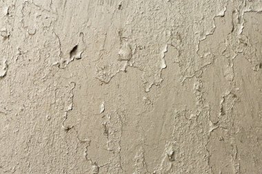 Asbest kayrak doku beton liken ve yosun kaplı