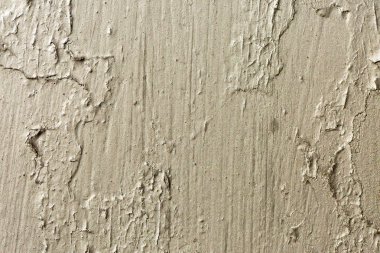 Asbest kayrak doku beton liken ve yosun kaplı