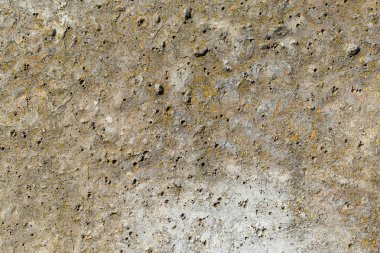 Asbest kayrak doku beton liken ve yosun kaplı