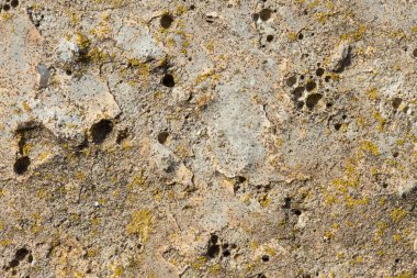 Asbest kayrak doku beton liken ve yosun kaplı