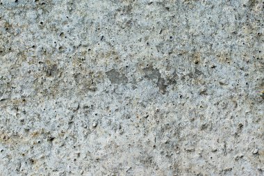 Asbest kayrak doku beton liken ve yosun kaplı