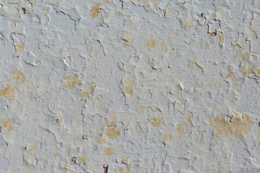 Asbest kayrak doku beton liken ve yosun kaplı