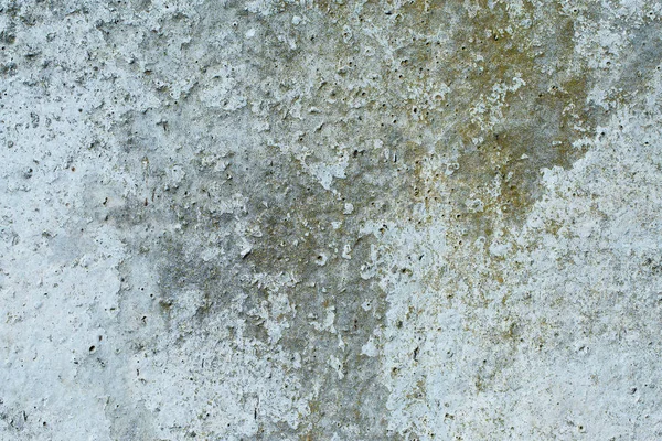 Textura Pizarra Asbesto Hormigón Cubierto Líquenes Musgo — Foto de Stock