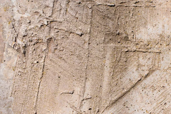 石岩石板纹理混凝土覆盖地衣和苔藓 — 图库照片