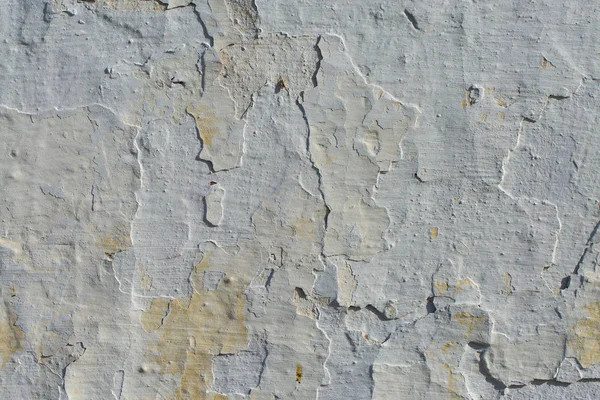 石綿スレートのテクスチャ コンクリート及び地衣蘇苔で覆われています — ストック写真