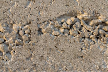 Asbest kayrak doku beton kaplı liken ve moss, sanayi malzeme doğal çimento, metin için panorama yer ile