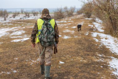 Bir Alman drathaar ve İspanyol, güvercin ile yansıtıcı yelek köpeklerde avcılık avcı