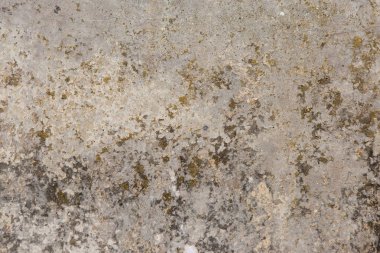 Asbest kayrak doku beton kaplı liken ve moss, sanayi malzeme doğal çimento, metin için panorama yer ile