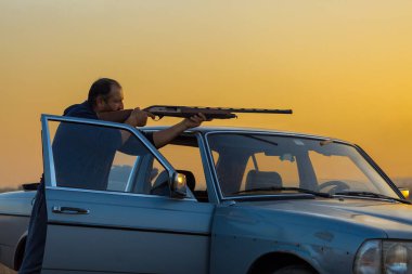 Bir Alman drathaar ve İspanyol, güvercin ile yansıtıcı yelek köpeklerde avcılık avcı