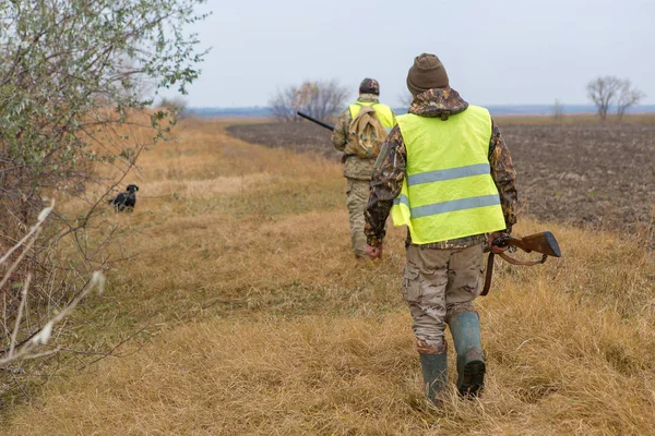 Chasse Avec Drathaar Allemand Épagneul Chasse Pigeon Avec Des Chiens — Photo