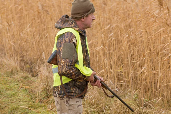 Chasseur Avec Drathaar Allemand Épagneul Chasse Pigeon Avec Chiens Gilets — Photo