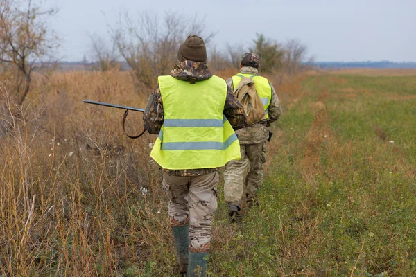 Huntes Med Tysk Drathaar Och Spaniel Duvjakt Med Hundkapplöpning Reflekterande — Stockfoto